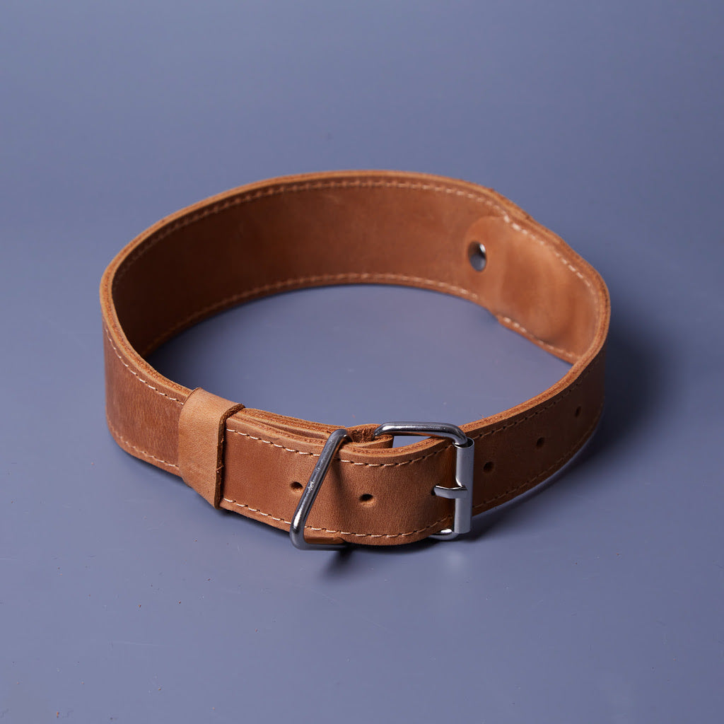 Collar para perros de piel Air Collar para razas medianas con soporte AirTag
