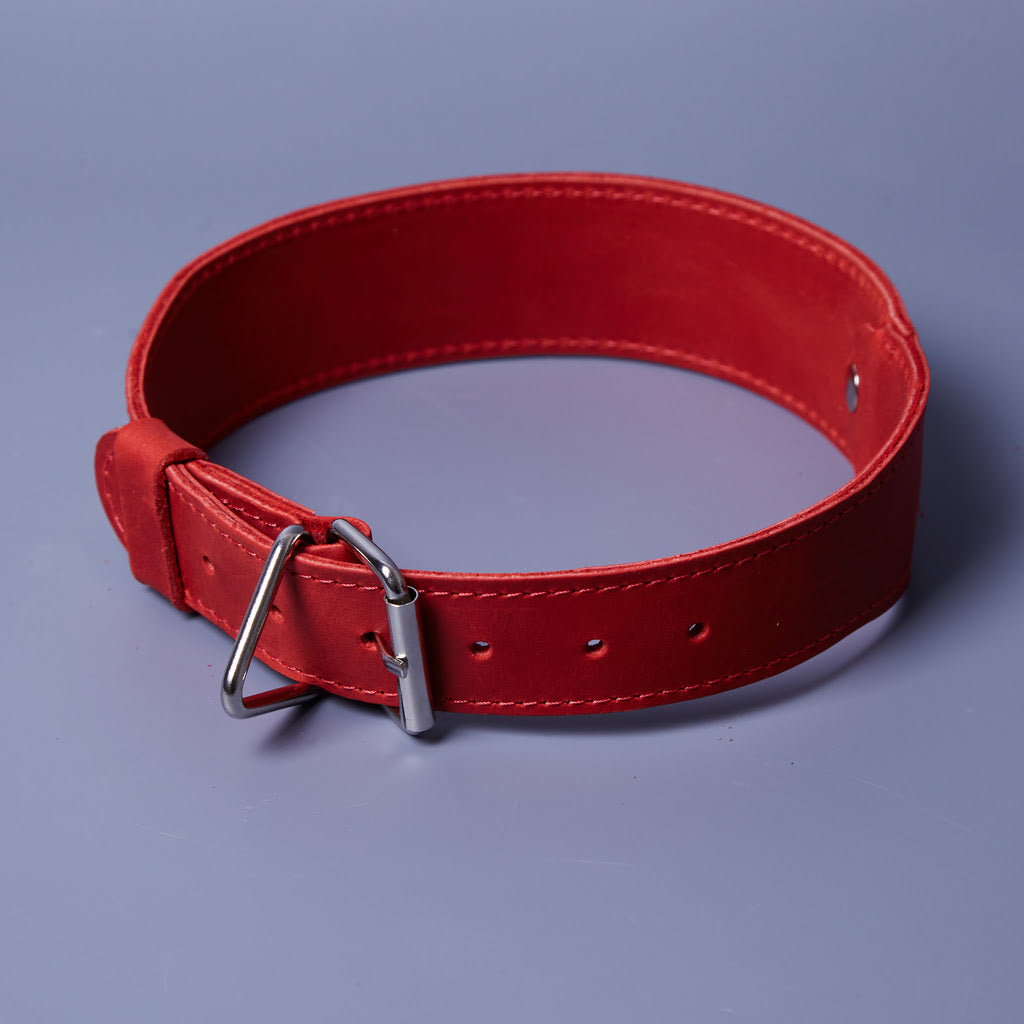 Collar para perros de piel Air Collar para razas medianas con soporte AirTag