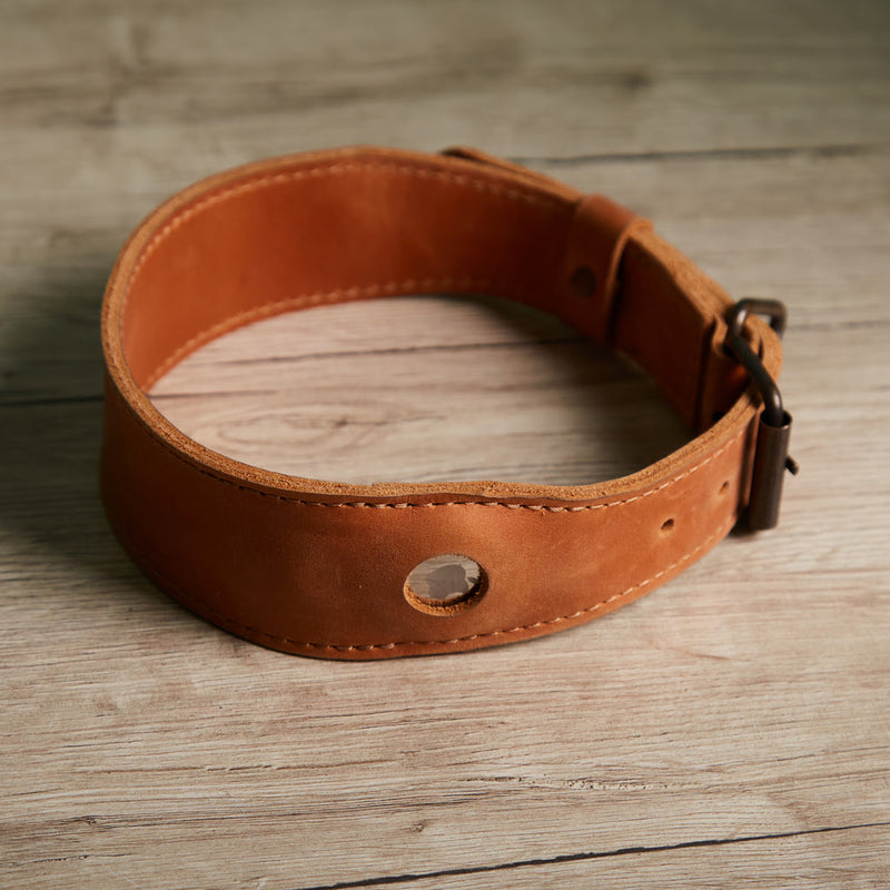 Air Collar leather collar for medium dog breeds with AirTag holder