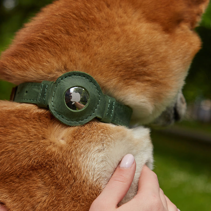 Collier en cuir Tiny Air Collar pour chiots, petits et moyens chiens