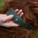Air Collar leather dog collar with AirTag holder