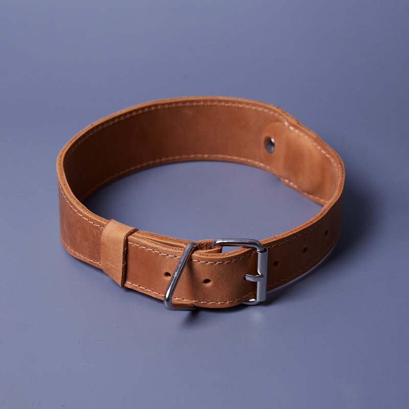 Air Collar kožna ogrlica za srednje pasmine pasa s AirTag držačem