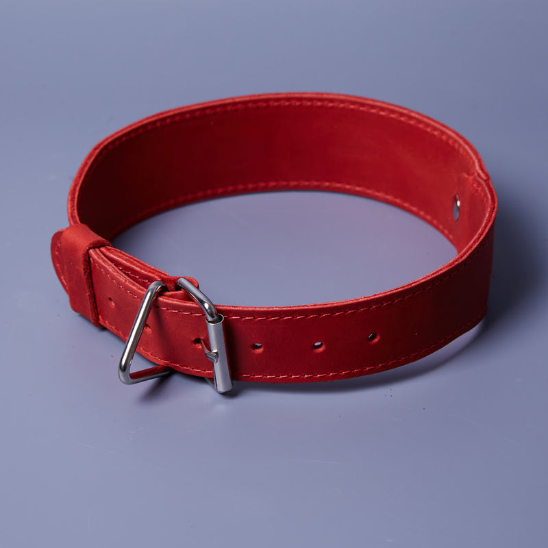 Air Collar leather collar for medium dog breeds with AirTag holder